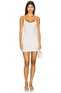 view 1 of 5 The Cami Slip Dress in Blue Fields