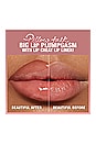 view 9 of 10 Pillow Talk Big Lip Plumpgasm in Fair & Medium