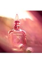 view 4 of 6 Love Frequency 10 ML Fragrance in Love Frequency