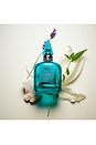 view 2 of 6 Calm Bliss 10 ML Fragrance in Calm Bliss