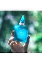 view 4 of 6 Calm Bliss 10 ML Fragrance in Calm Bliss