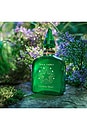 view 4 of 6 Magic Energy 10 ML Fragrance in Magic Energy
