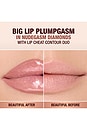 view 2 of 10 Supernudes Big Lip Plumpgasm in Nudegasm Diamonds