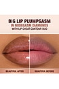 view 4 of 10 Supernudes Big Lip Plumpgasm in Nudegasm Diamonds