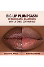 view 5 of 10 Supernudes Big Lip Plumpgasm in Nudegasm Diamonds