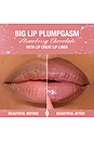 view 7 of 11 Plumpgasm in Strawberry Chocolate