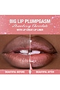 view 8 of 11 Plumpgasm in Strawberry Chocolate