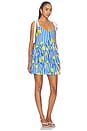 view 2 of 4 Elyse Mini Dress in Blue & White