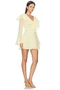 view 2 of 4 Maribelle Mini Dress in Lemon Yellow