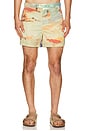 view 1 of 1 Morfeo Swim Short in Rio Beach Print