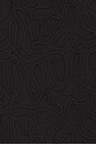 view 5 of 5 Khai Swim Short in Black