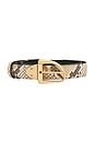 view 5 of 4 Ailani Swivel Belt in Faded Python