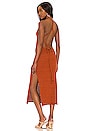 view 1 of 3 Tyla Dress in Rust in Amber