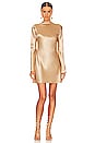 view 2 of 3 Milla Dress in Champagne