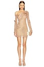 view 1 of 5 Bowie Knit Mini Dress in Champagne