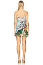 view 4 of 5 Bebe Dress in Full Blossom