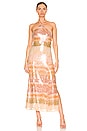 view 2 of 4 Tasmin Dress in Dusty Dye