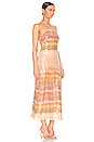 view 3 of 4 Tasmin Dress in Dusty Dye