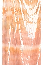 view 4 of 4 Tasmin Dress in Dusty Dye