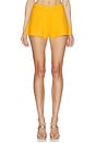 view 1 of 6 Ace Short in Marigold