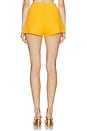view 4 of 6 Ace Short in Marigold
