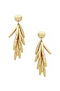 view 1 of 2 Sunella Earring in Shiny Brass