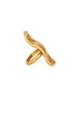 view 2 of 3 Asa Ring in Antique Brass