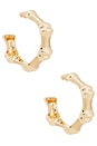 view 1 of 3 Bambu Hoop Earrings in Brushed Brass
