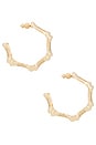 view 2 of 3 Bambu Hoop Earrings in Brushed Brass