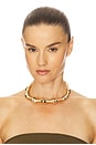 view 4 of 4 Bambu Necklace in Brushed Brass