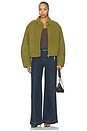 view 6 of 5 Reena Outerwear in Chive