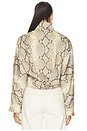 view 5 of 5 Jarvis Jacket in Faded Python