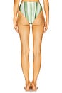 view 3 of 4 Oswin Bikini Bottom in Calla Lily Painted Stripe