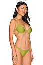view 2 of 4 Emilia Bikini Top in Palm