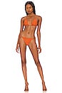 view 4 of 5 Raven Bikini Top in Amber