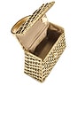 view 5 of 5 Nano Sybil Crossbody in Brushed Brass