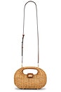 view 1 of 8 Lydia Crossbody in Toasted Natural