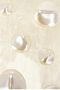 view 6 of 7 Orbs Clutch in Ivory