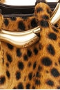 view 6 of 7 Asa Shoulder Bag in Cheetah