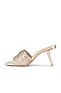 view 5 of 5 Giana Sandal in Champagne