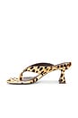 view 5 of 5 SANDALES ABI in Cheetah