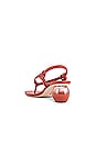 view 3 of 5 Aviva Sling Back Sandal in Jasper