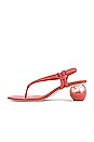 view 5 of 5 Aviva Sling Back Sandal in Jasper