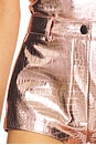 view 6 of 6 Vixen Shorts in Pink Croc