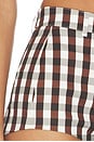view 6 of 6 Vixen Short in Gingham Brown