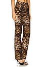 view 2 of 6 Killa Pants in Brown