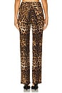 view 4 of 6 Killa Pants in Brown