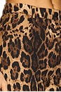 view 6 of 6 Killa Pants in Brown
