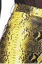 view 6 of 6 Killa Pant in Yellow Python