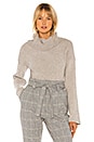 view 1 of 4 Greenwich Turtle Neck in Grey